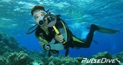 PulseDive Scuba Dedektör